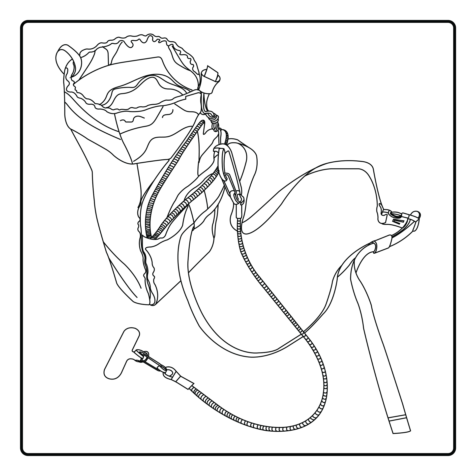 Snack Pack Instructions