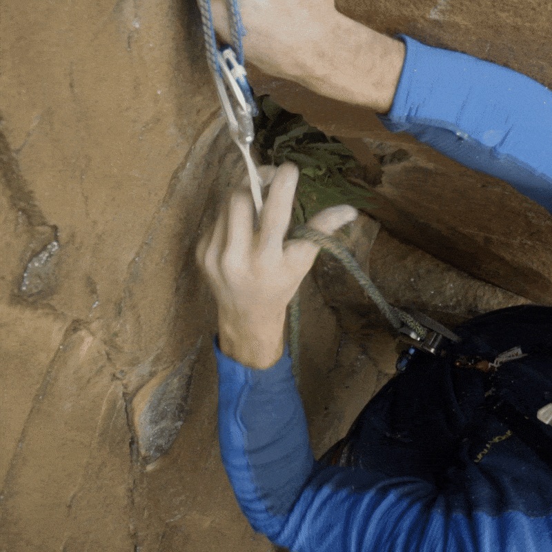 Soft-Cinch - Lead Rope Solo Backfeed Preventer (5 Pack)